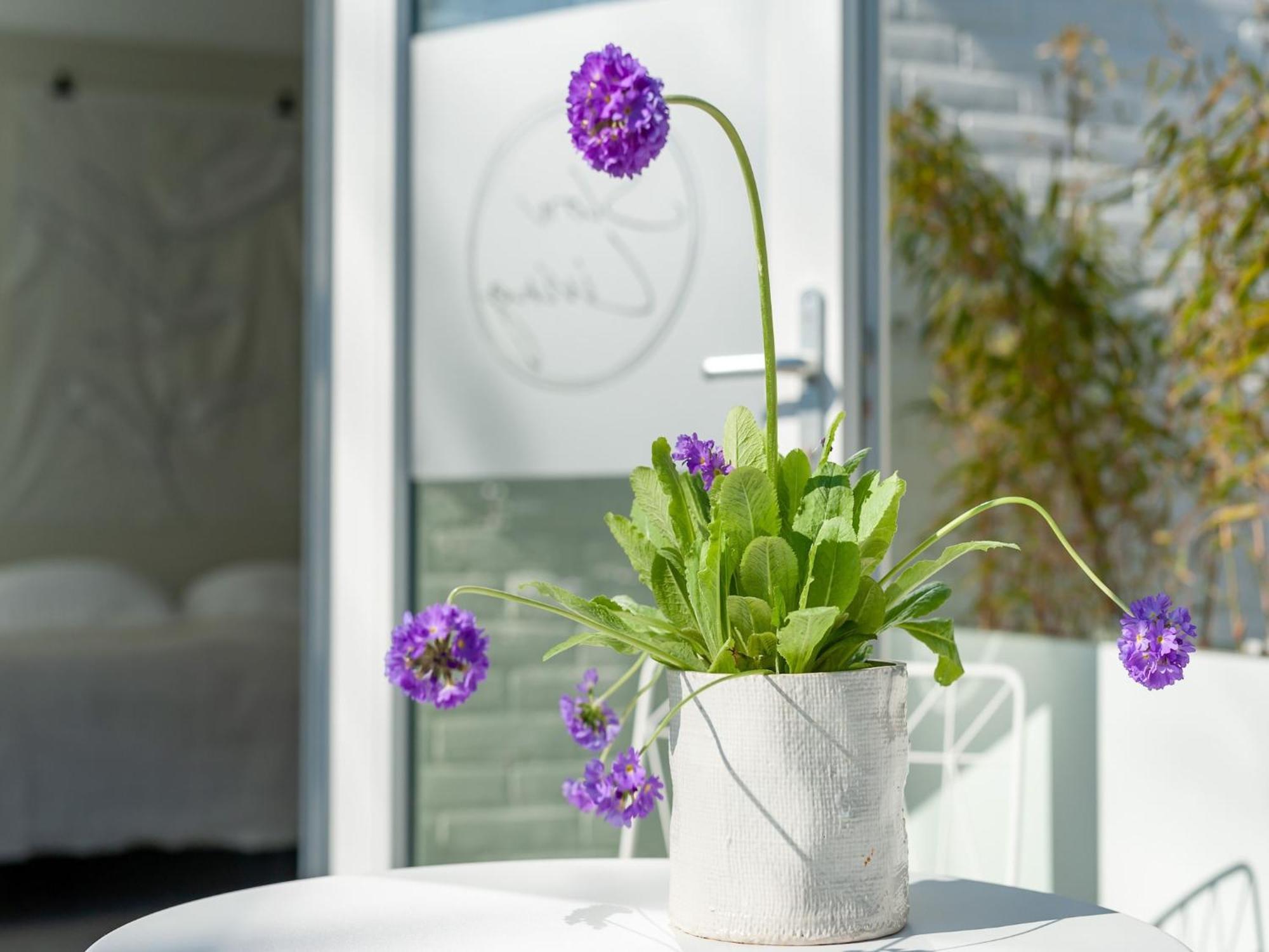 Pleasaing Holiday Home In Oostkapelle Near Centre Kültér fotó